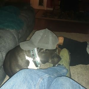 Meet your Posher, Samuel